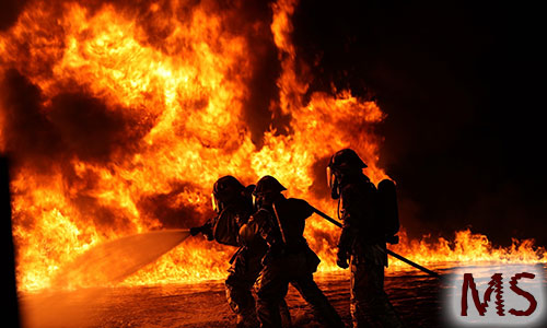 Kortison ist die Feuerwehr die als erstes vorort ist