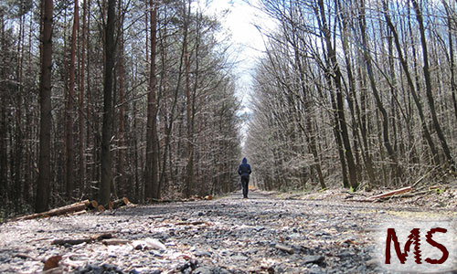 Multiple Sklerose Sie ist weg